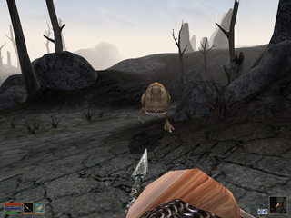 Elder Scrolls III: Morrowind, The